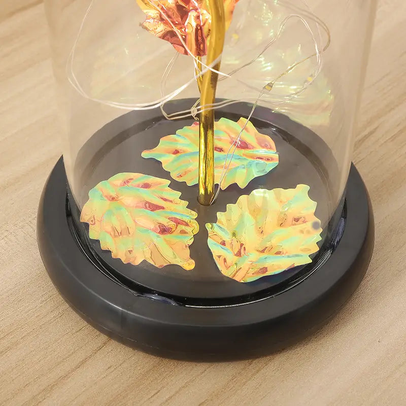 Rainbow Rose Light in Dome - Gift for Women