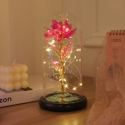 Rainbow Rose Light in Dome - Gift for Women