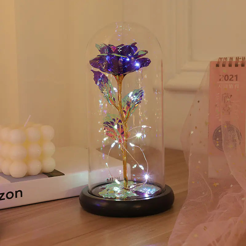 Rainbow Rose Light in Dome - Gift for Women
